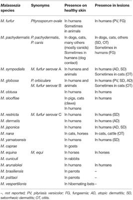 Malassezia Yeasts in Veterinary Dermatology: An Updated Overview